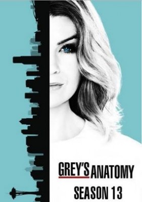 مسلسل Greys Anatomy الموسم 13 الحلقة 24