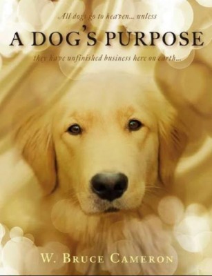 فيلم A Dogs Purpose 2017 اون لاين