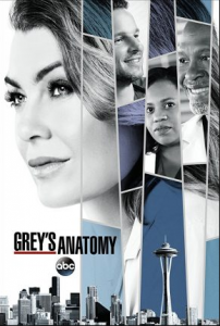 مسلسل Greys Anatomy الموسم 14