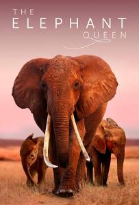 مشاهدة فيلم The Elephant Queen 2019 مترجم